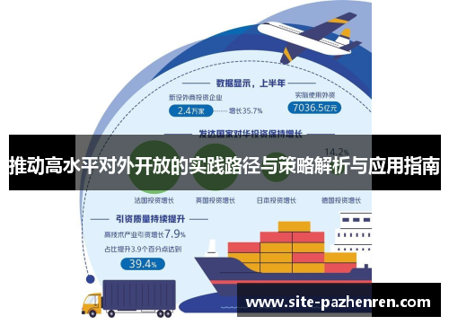 推动高水平对外开放的实践路径与策略解析与应用指南