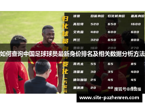如何查询中国足球球员最新身价排名及相关数据分析方法 如何查询中国足球球员最新身价排名及相关数据分析方法