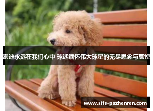 泰迪永远在我们心中 球迷缅怀伟大球星的无尽思念与哀悼 泰迪永远在我们心中 球迷缅怀伟大球星的无尽思念与哀悼
