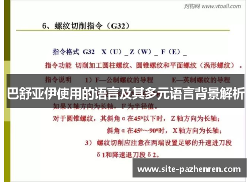 巴舒亚伊使用的语言及其多元语言背景解析 巴舒亚伊使用的语言及其多元语言背景解析