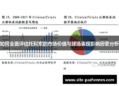 如何全面评估托利索的市场价值与球场表现影响因素分析 如何全面评估托利索的市场价值与球场表现影响因素分析